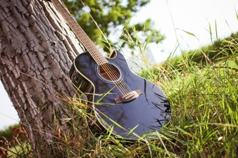 guitar-in-the-nature_385-19321005