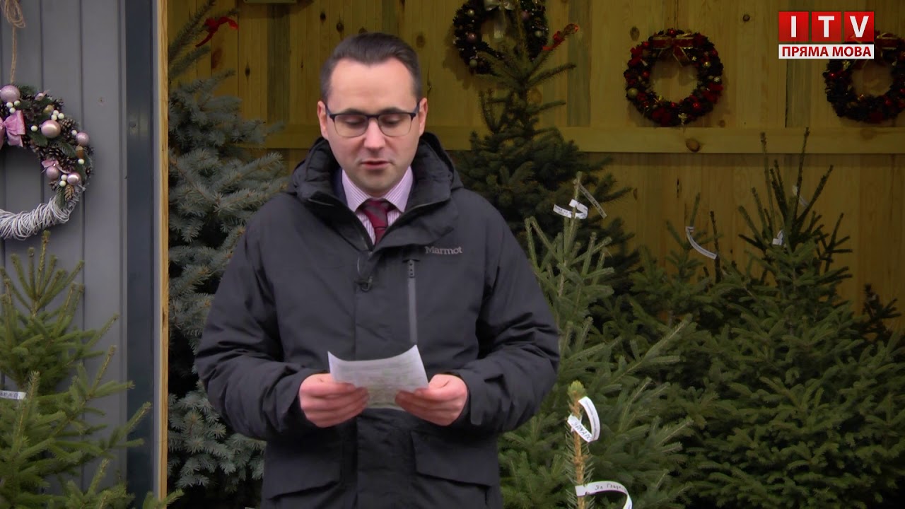 В Ірпені закликають купувати новорічні ялинки в горщиках