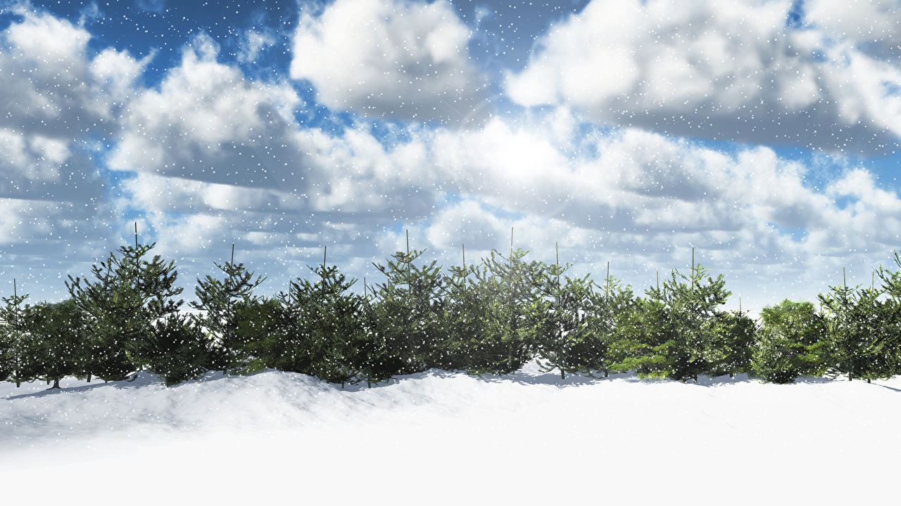 Seasons Winter Fir Snow Clouds 512590 1280x720